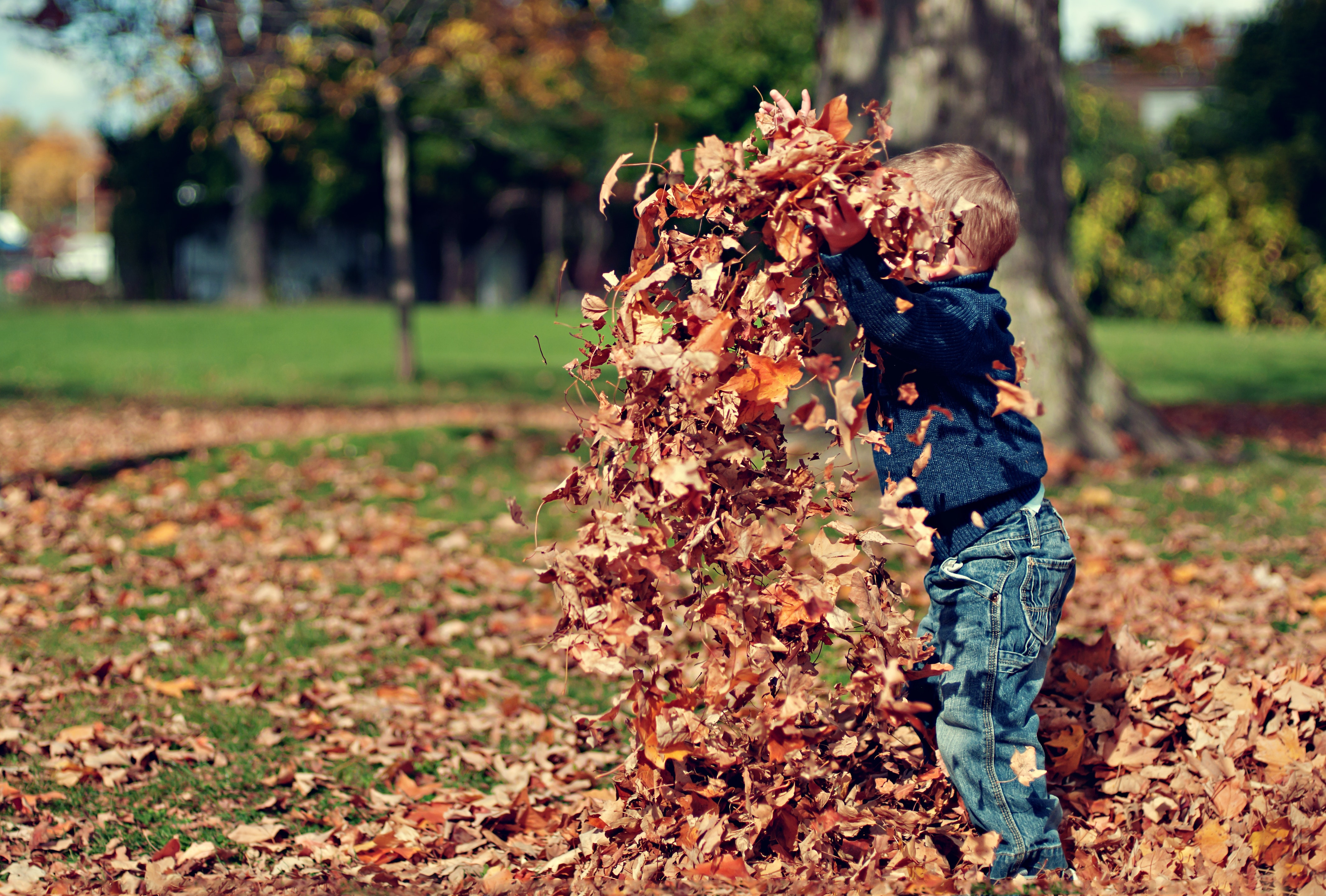 Kind spielt im Herbstlaub Kind spielt im Herbstlaub
#zcatering #caterer #berlin #kitacaterer #schulcaterer #regional #qualitativ #gesund #biocaterer #Mittagessen #Ernährung #berlinmitte #Schule #Schulbeginn #Kinder #Schüler #Fit #lernen #Schuljahr #Mittag #Mittagspause #Herbst #Gemüse #Bunt #Obst #Vitamine #Gesundheit